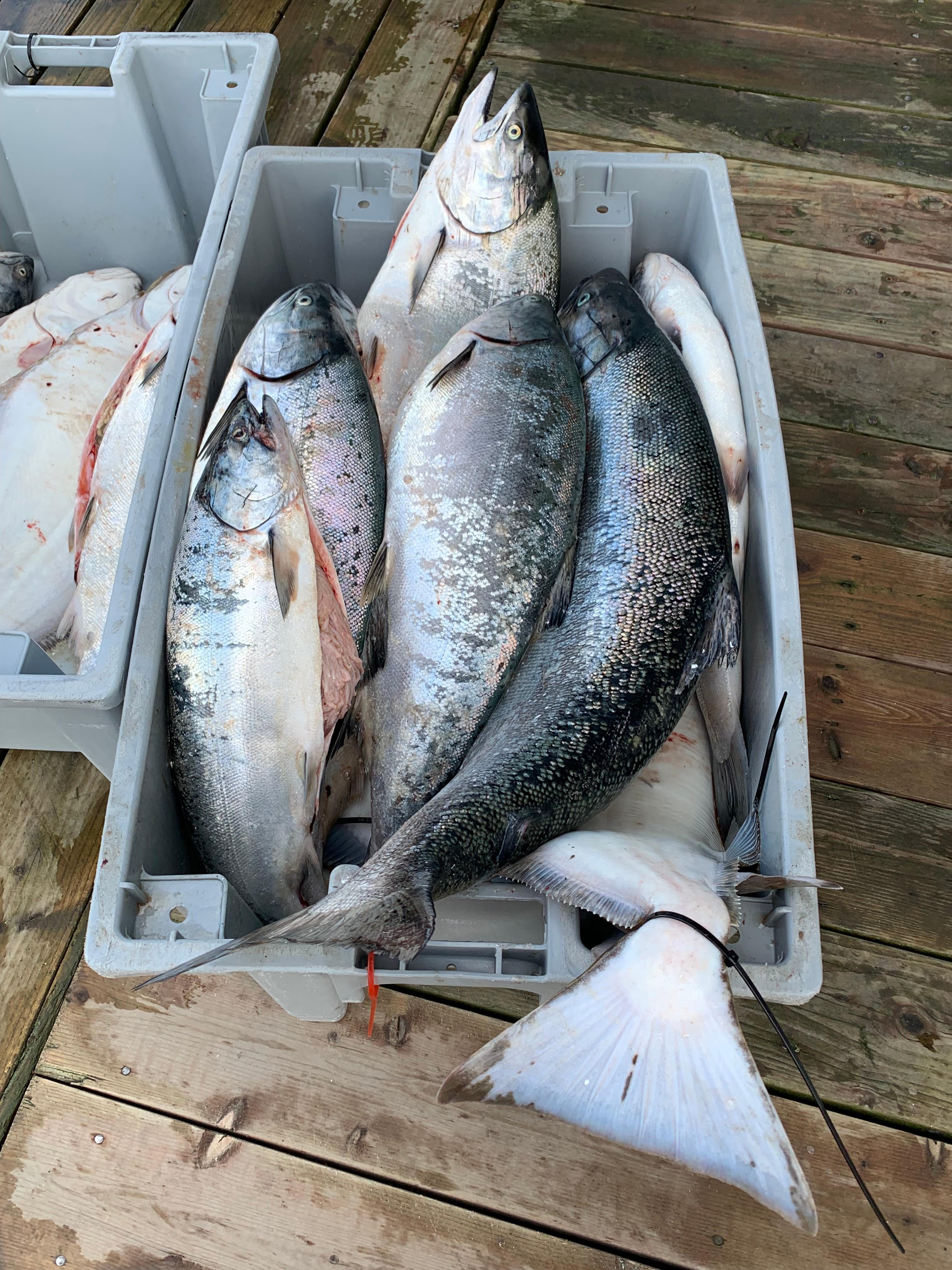 Alaska